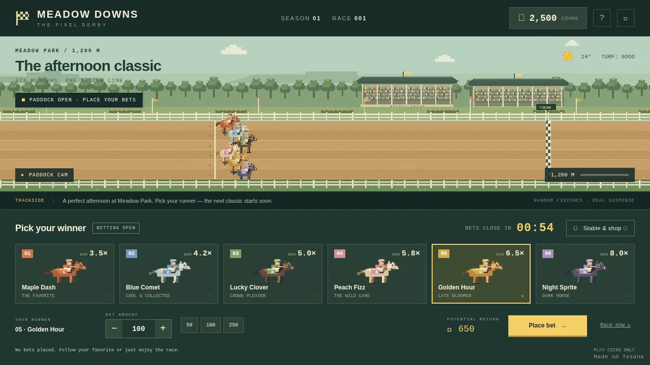 Meadow Downs — Pixel Derby