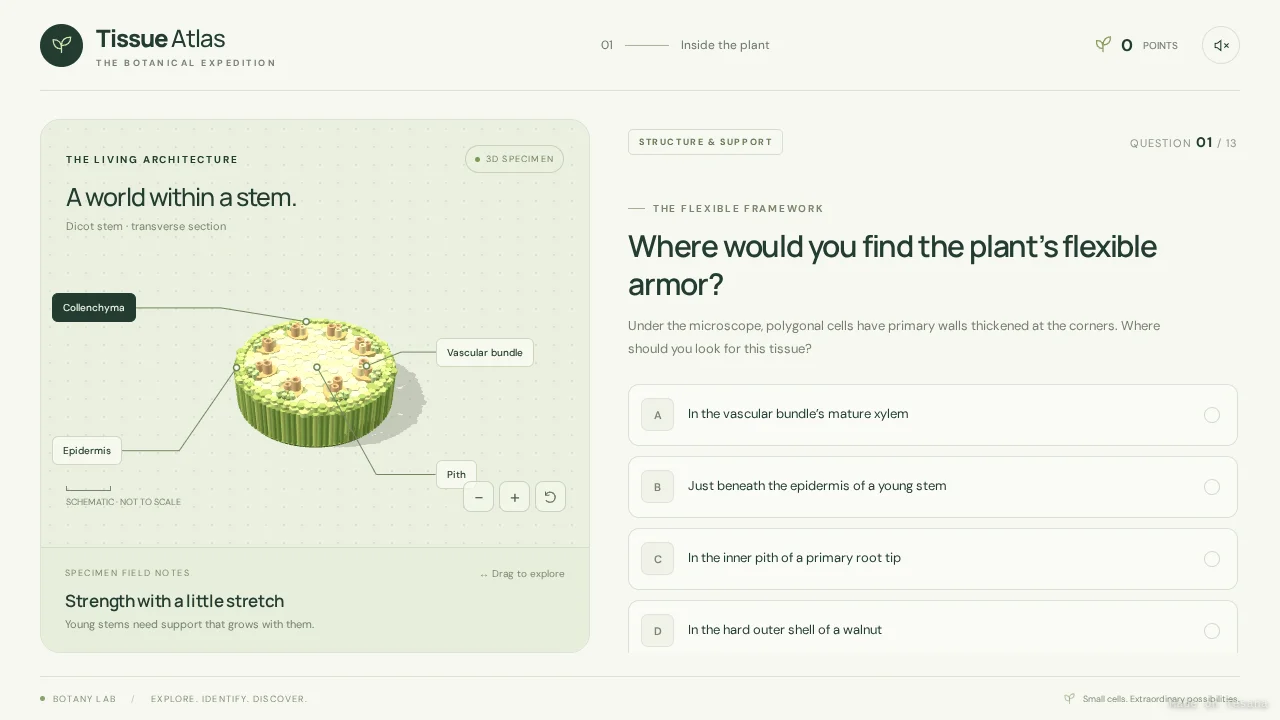 Tissue Atlas — A Botanical Expedition