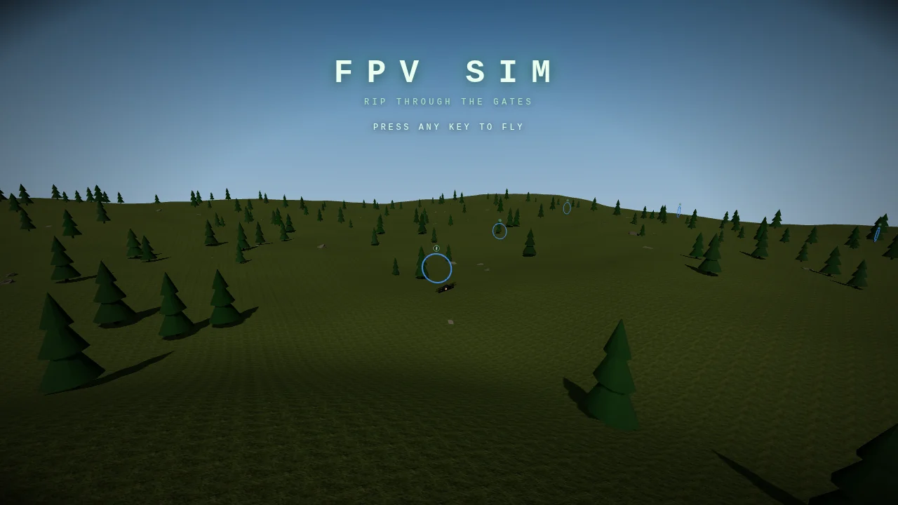 FPV SIM